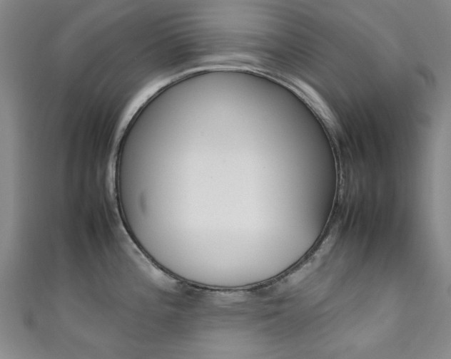 X0000111351196200907100928