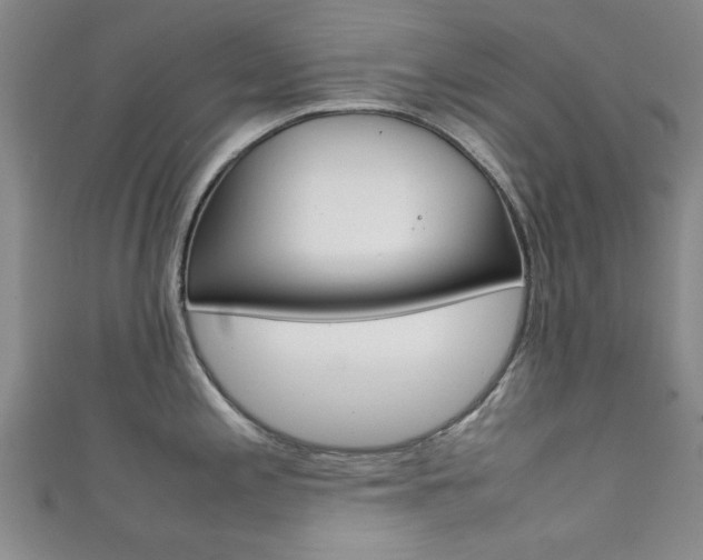 X0000111351197200907100928