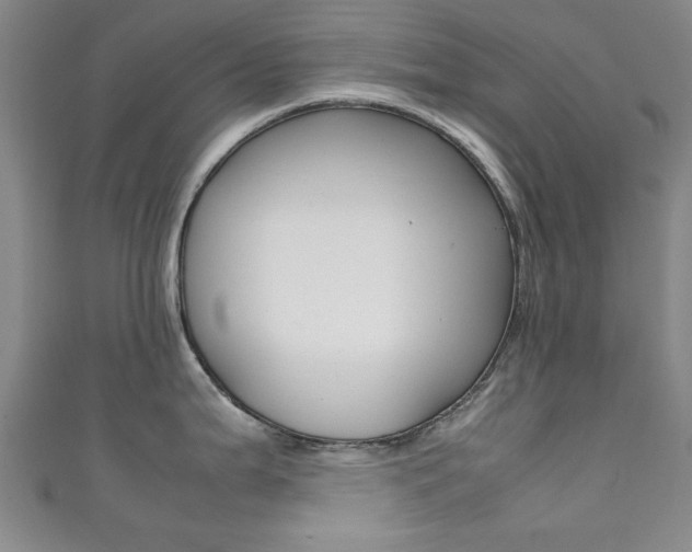 X0000111351199200907100928