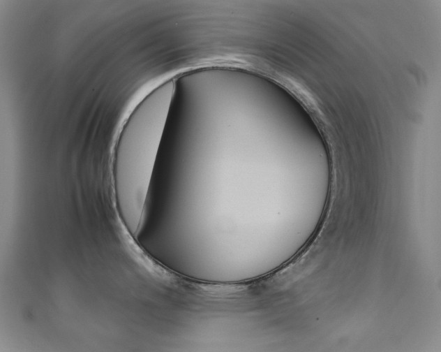 X0000111351200200907100928