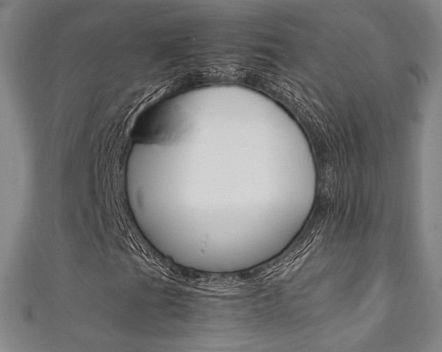 X0000111351201200907100927