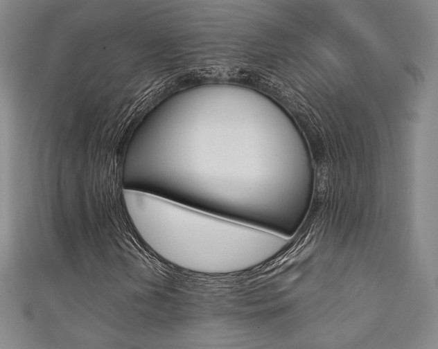 X0000111351202200907100927