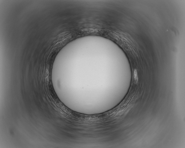 X0000111351203200907100927