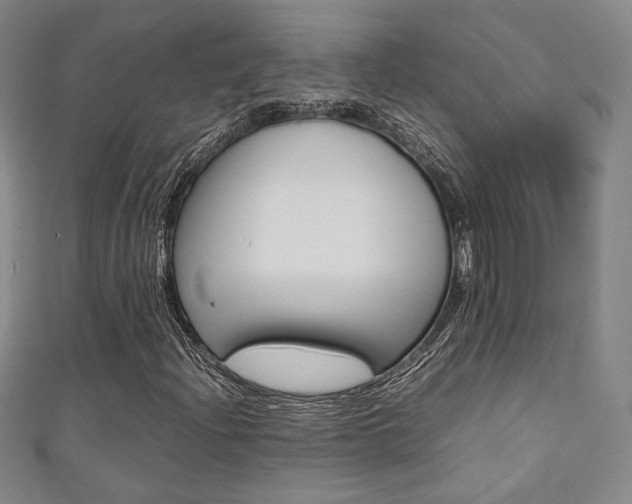 X0000111351204200907100927