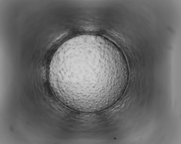 X0000111351205200907100927