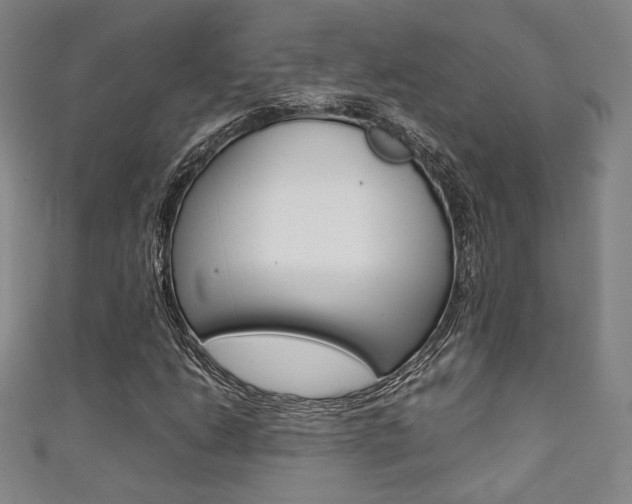 X0000111351206200907100927