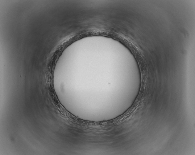 X0000111351207200907100927