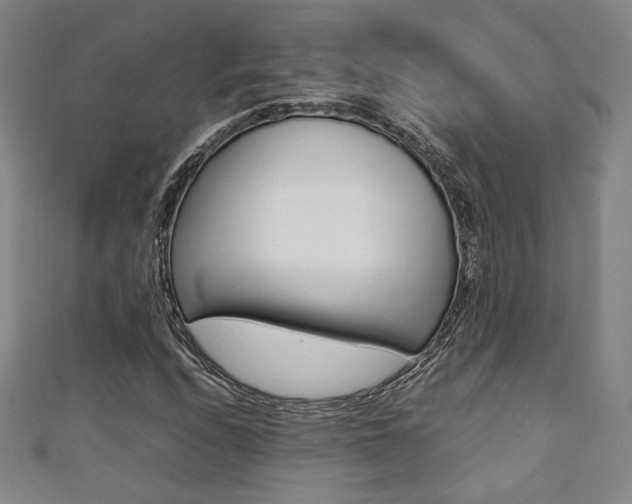 X0000111351208200907100927