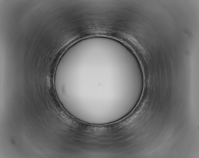 X0000111351209200907100927
