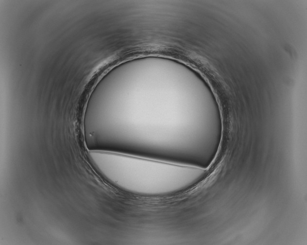 X0000111351210200907100928
