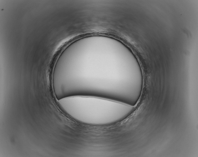 X0000111351214200907100928