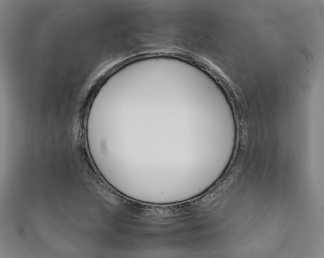 X0000111351215200907100928