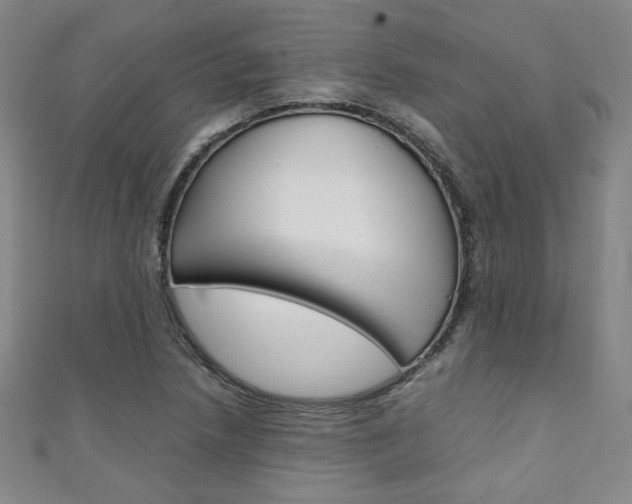 X0000111351218200907100928