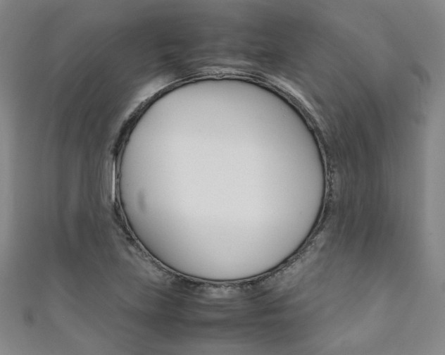 X0000111351219200907100928