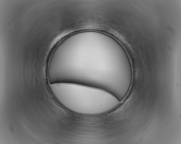 X0000111351222200907100928