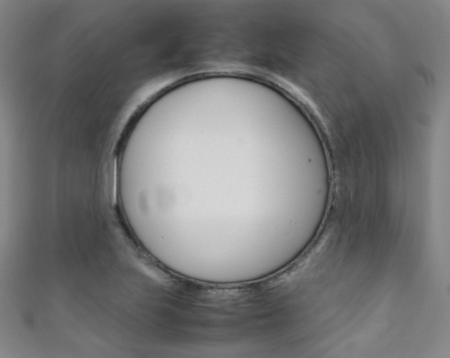 X0000111351223200907100928