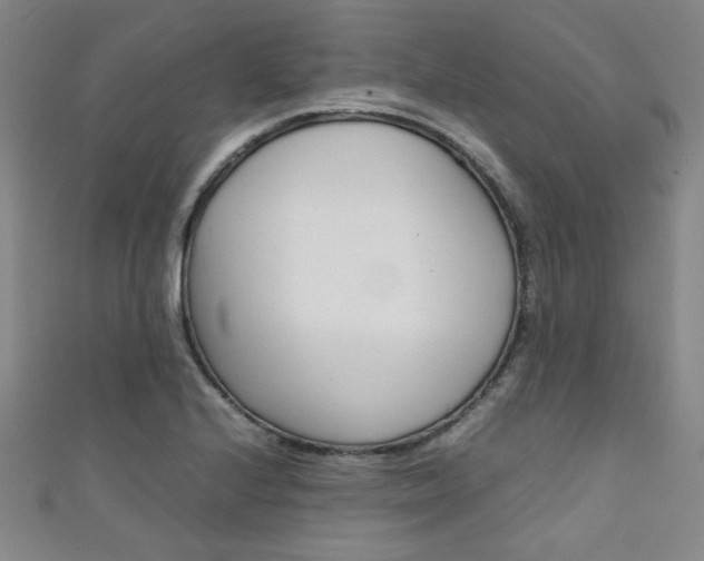 X0000111351224200907100928