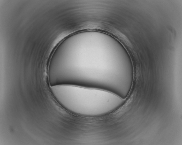 X0000111351226200907100928