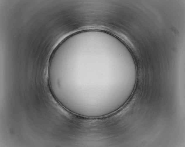 X0000111351228200907100928
