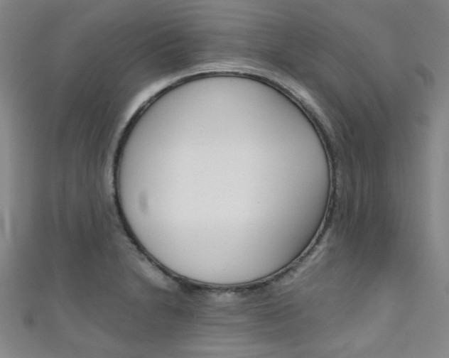 X0000111351230200907100928