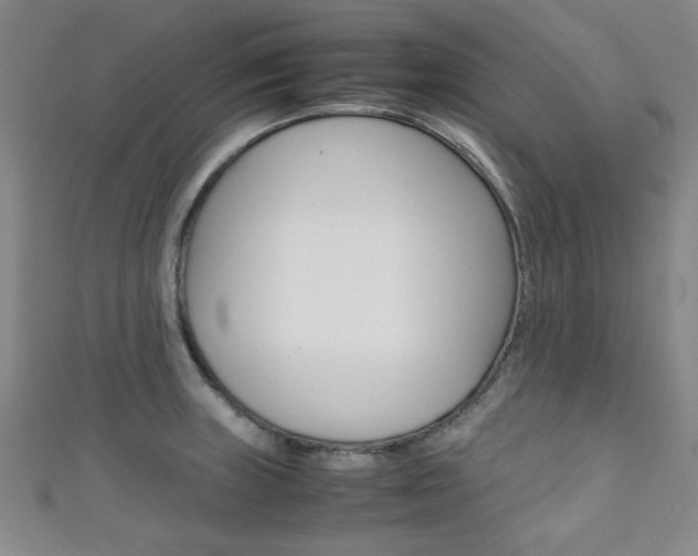 X0000111351235200907100928