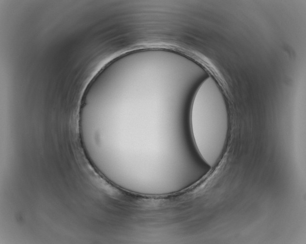 X0000111351236200907100928