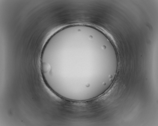 X0000111351239200907100928