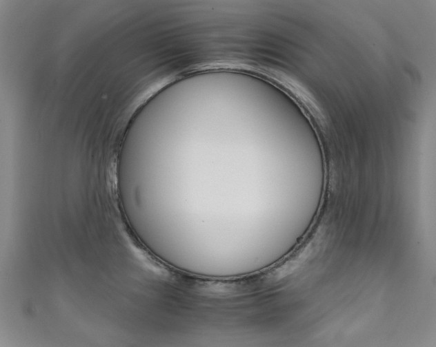 X0000111351241200907100928