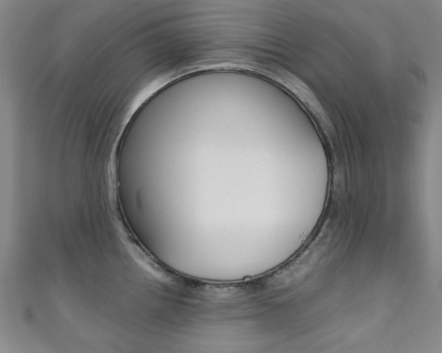X0000111351242200907100928