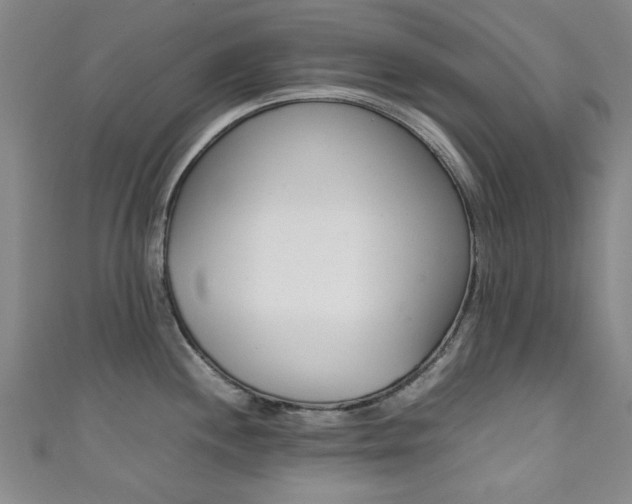 X0000111351244200907100928