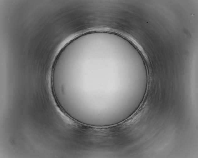 X0000111351245200907100928