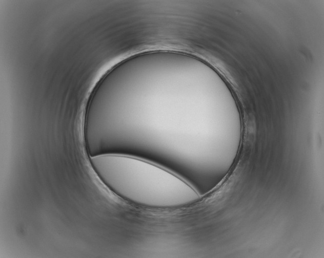 X0000111351246200907100928