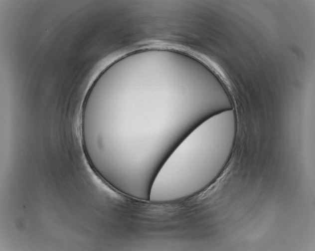 X0000111351247200907100928