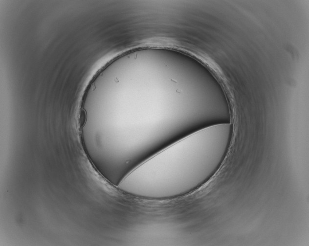 X0000111351248200907100928