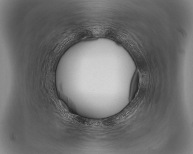 X0000111351249200907100927