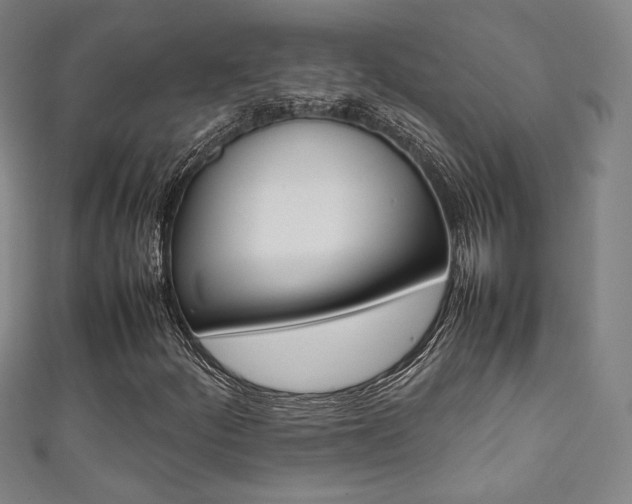 X0000111351252200907100927