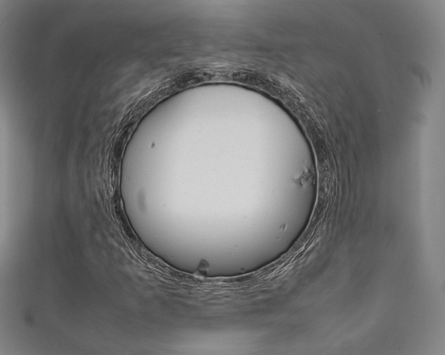 X0000111351253200907100927