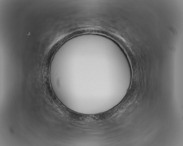 X0000111351255200907100927