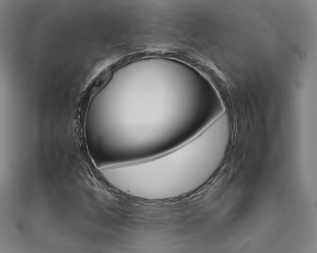 X0000111351256200907100927