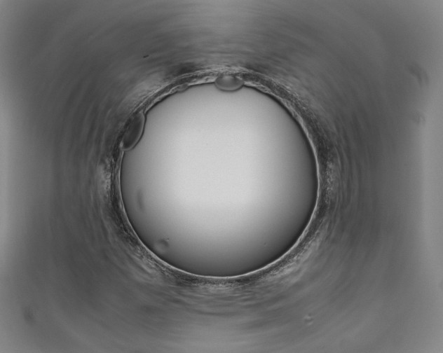 X0000111351257200907100927