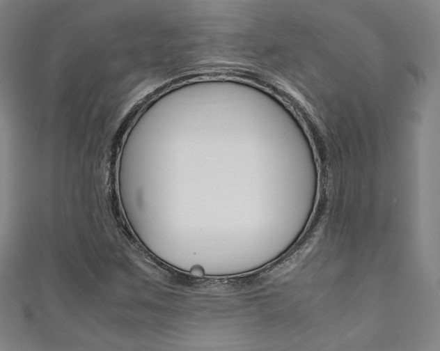 X0000111351259200907100927