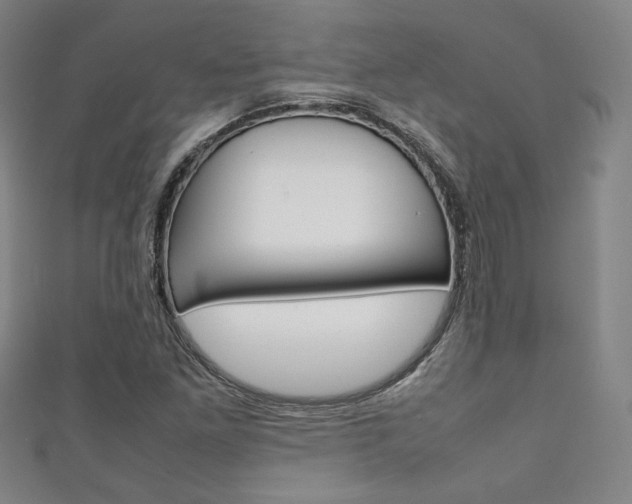 X0000111351261200907100927