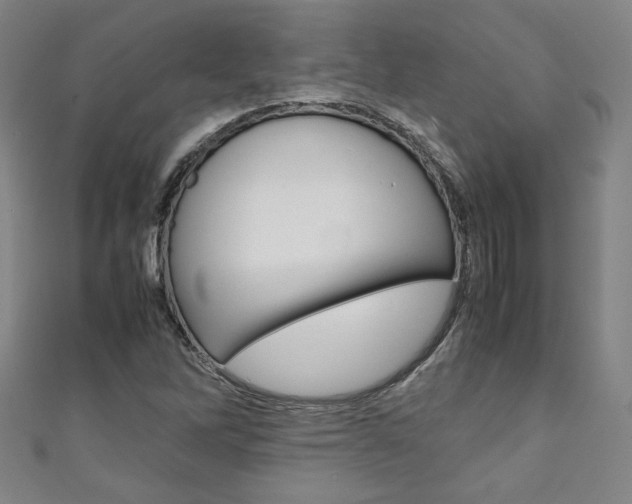 X0000111351262200907100927