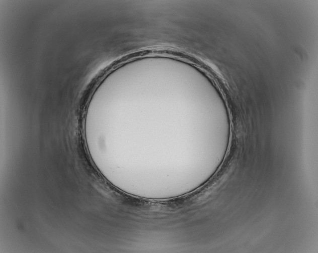X0000111351263200907100927
