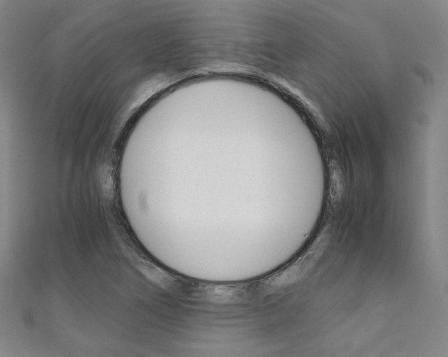 X0000111351266200907100927