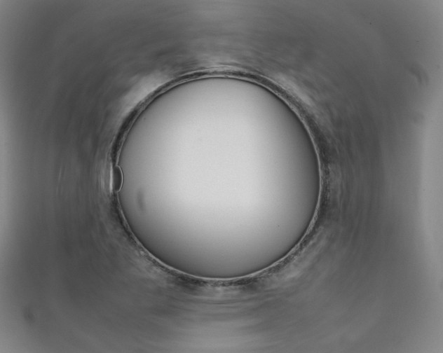 X0000111351269200907100927