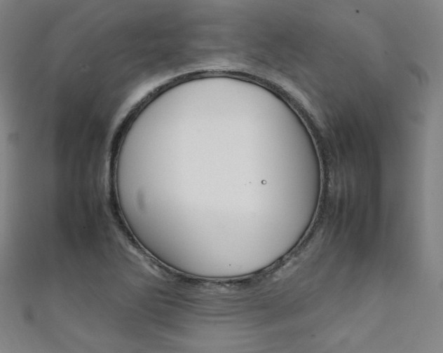 X0000111351270200907100927