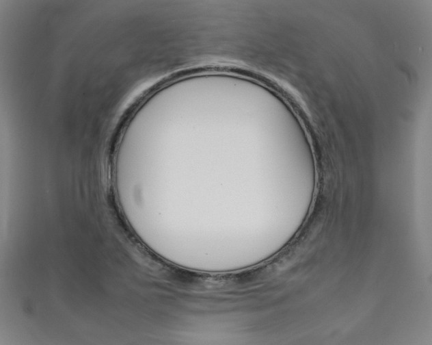 X0000111351271200907100927