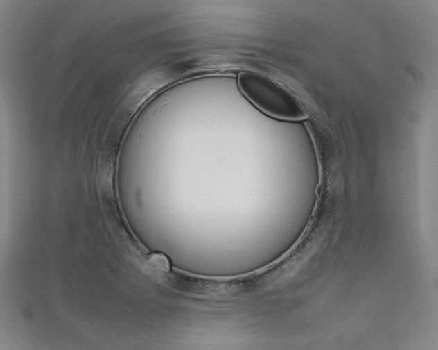 X0000111351273200907100927