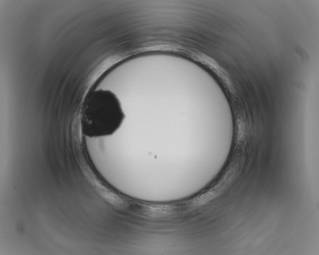 X0000111351274200907100927